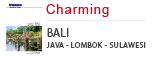 Charming Bali