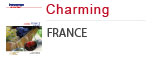 Charming France